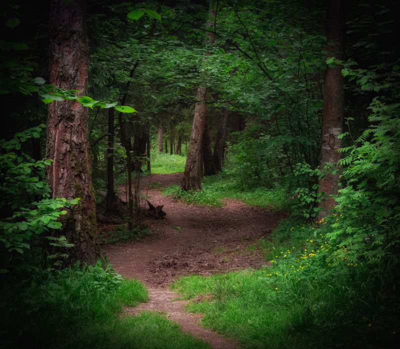 Июнь фото превью