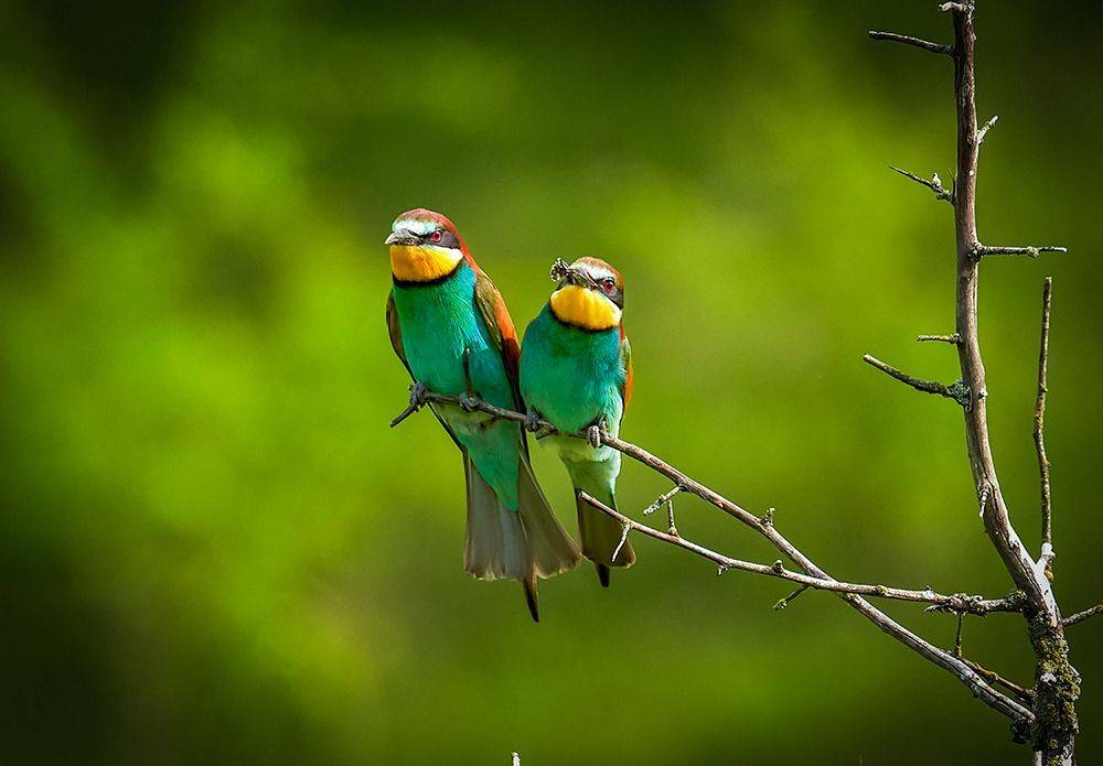 , Игорь Кляхин