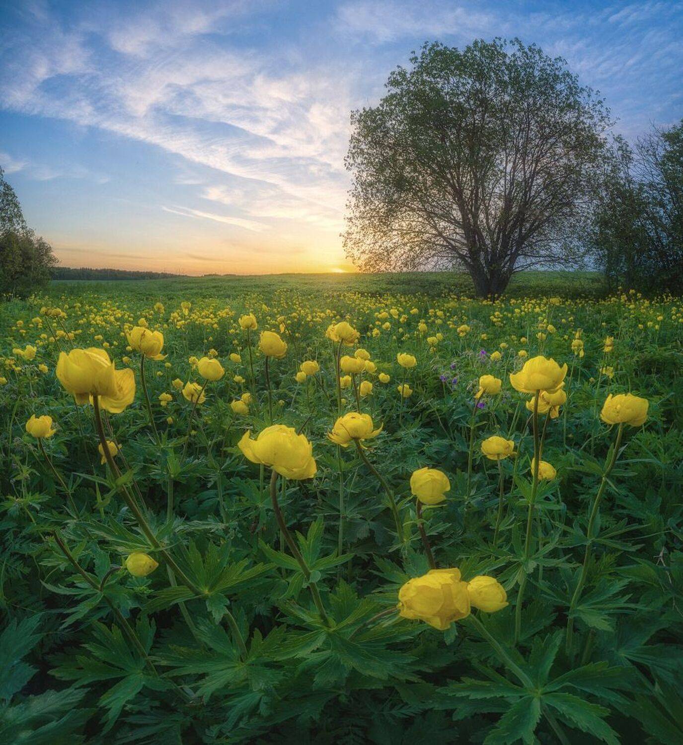 , Устюжанин Михаил