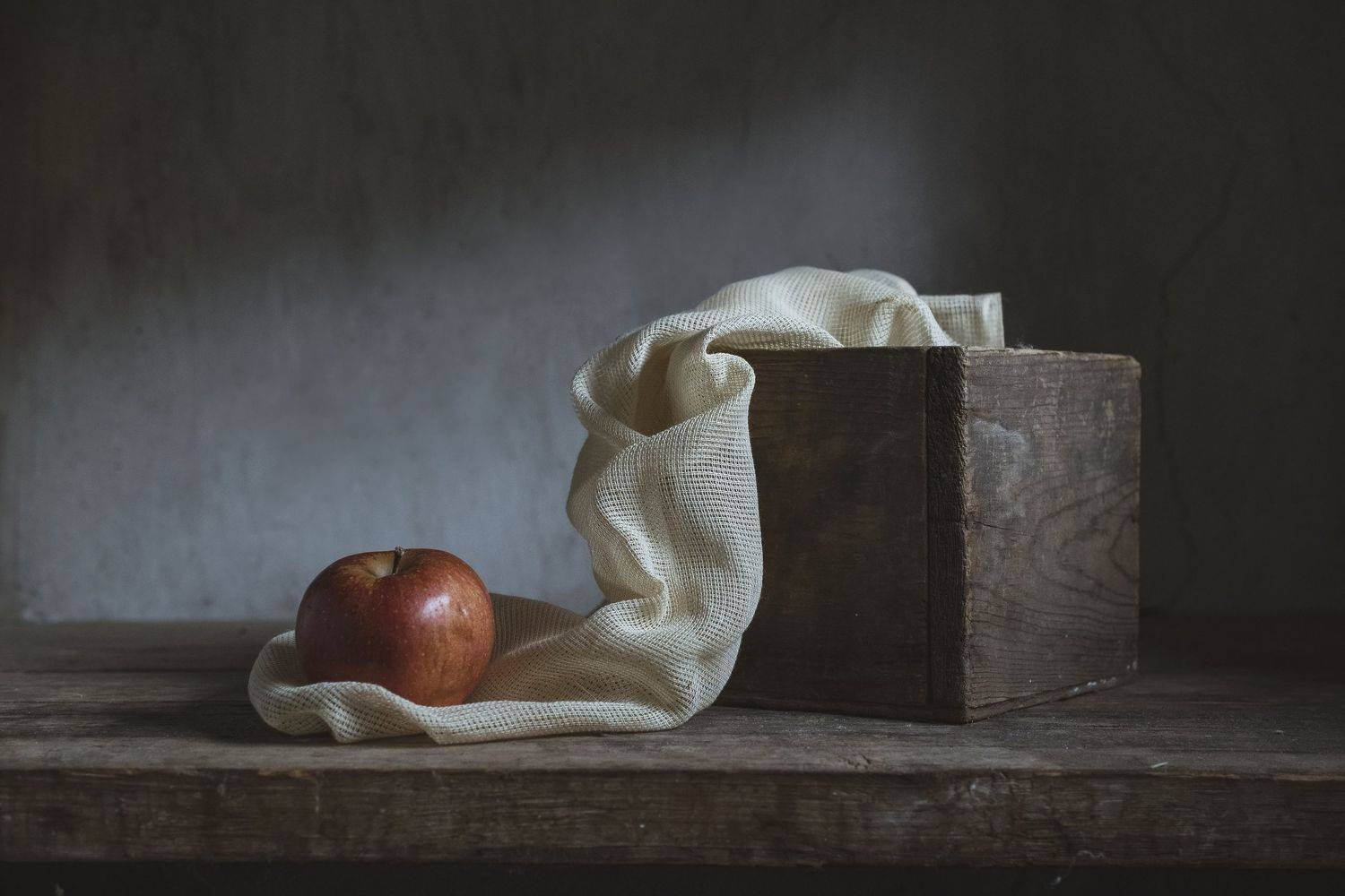 яблоко ткань дерево, Инна Грицик