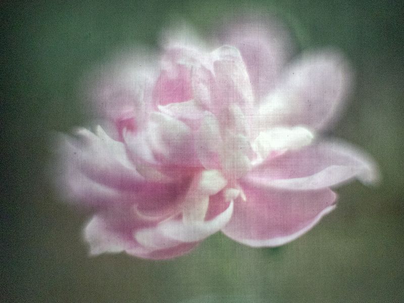 #haruhisa Акварельное утро фото превью