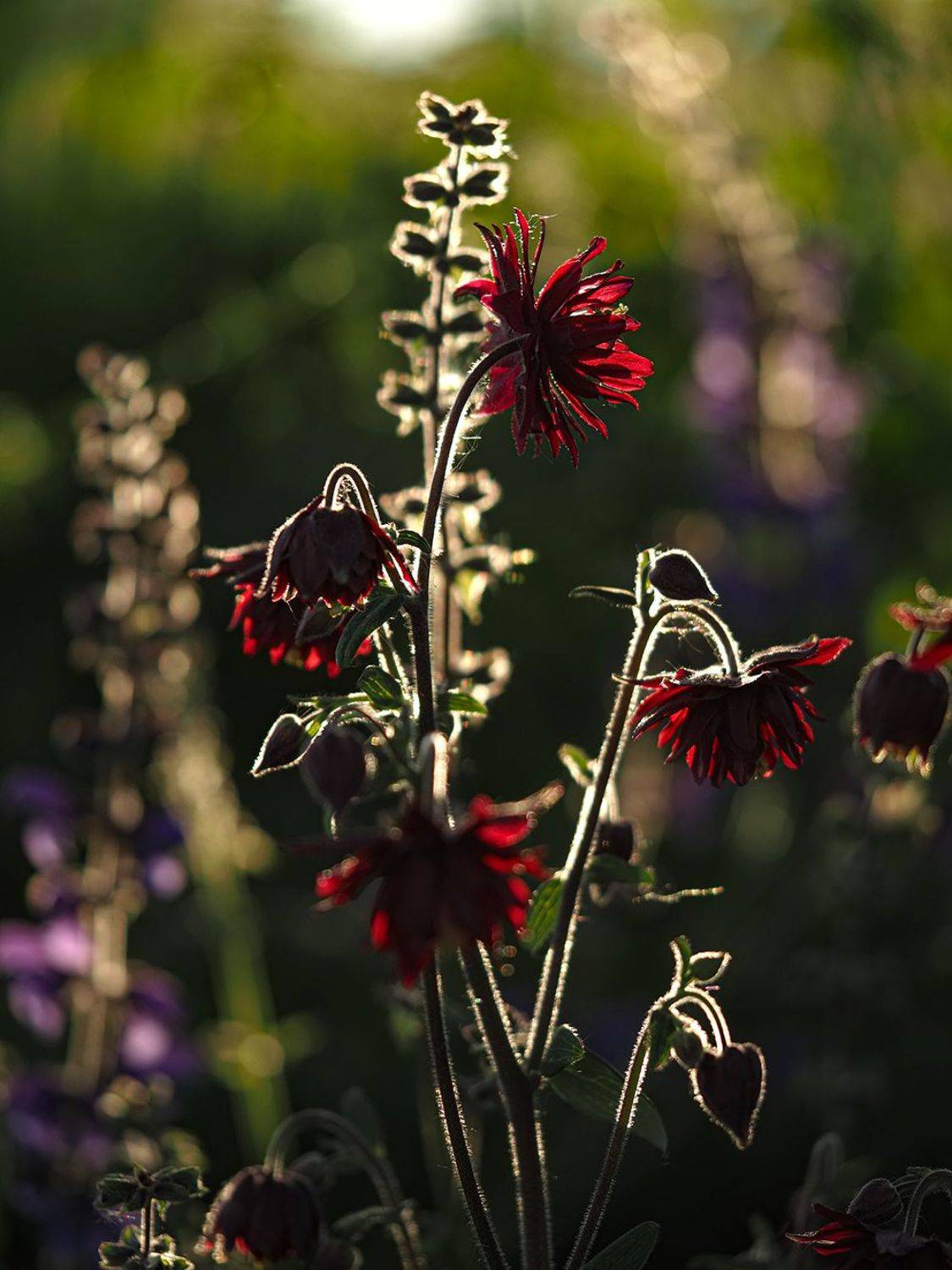 , Сергей Духанин