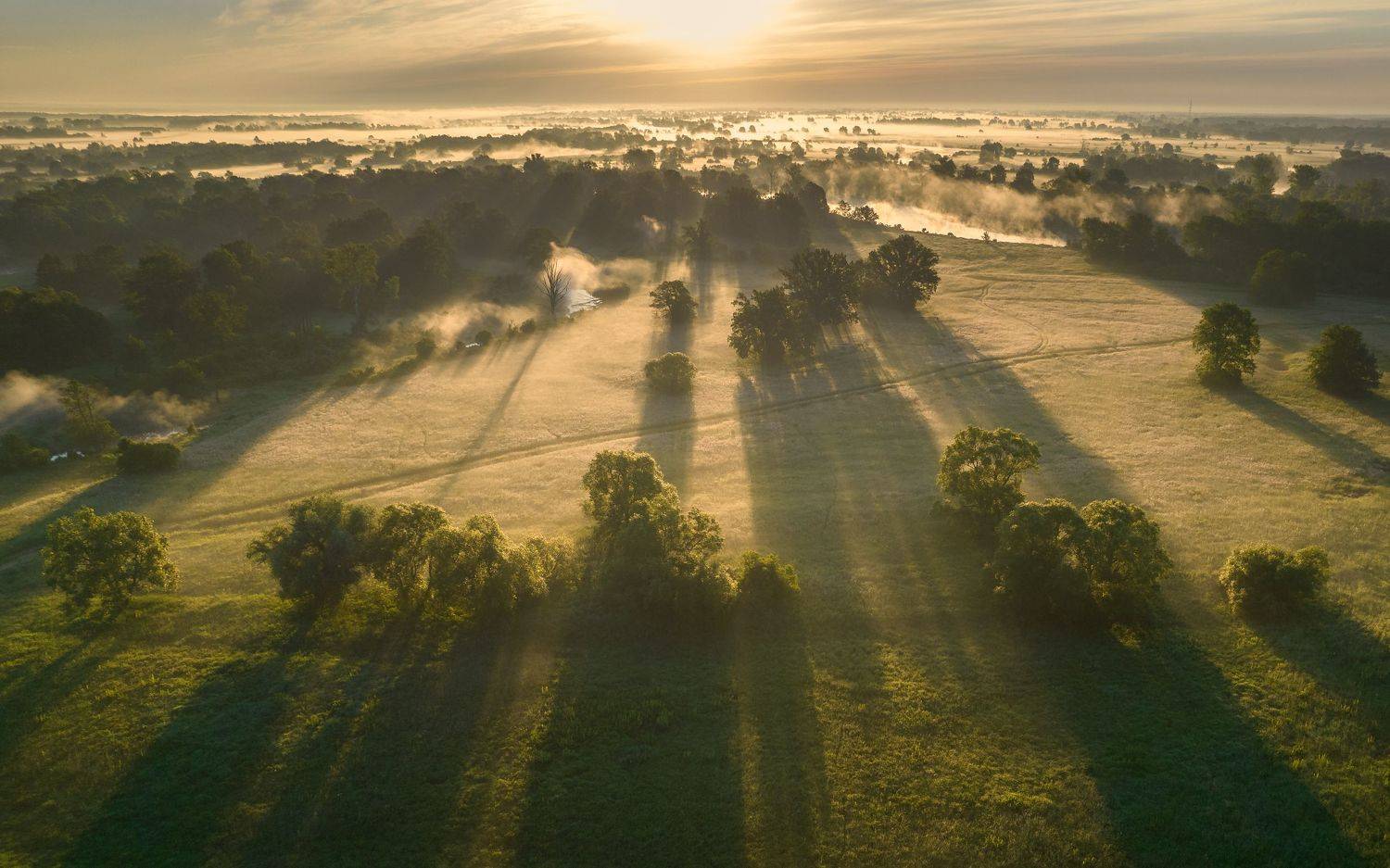 #light #sun #shadows #tree, Marcin Orszulak