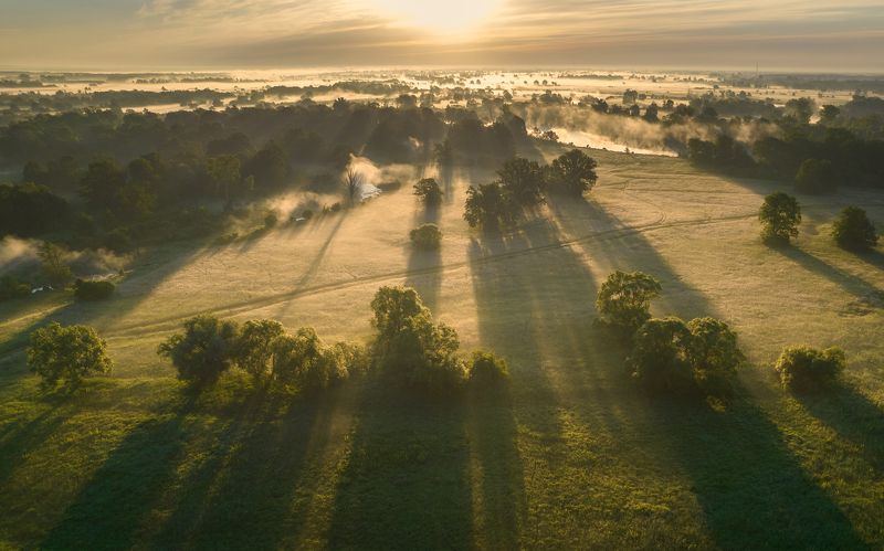 #light #sun #shadows #tree Morning фото превью