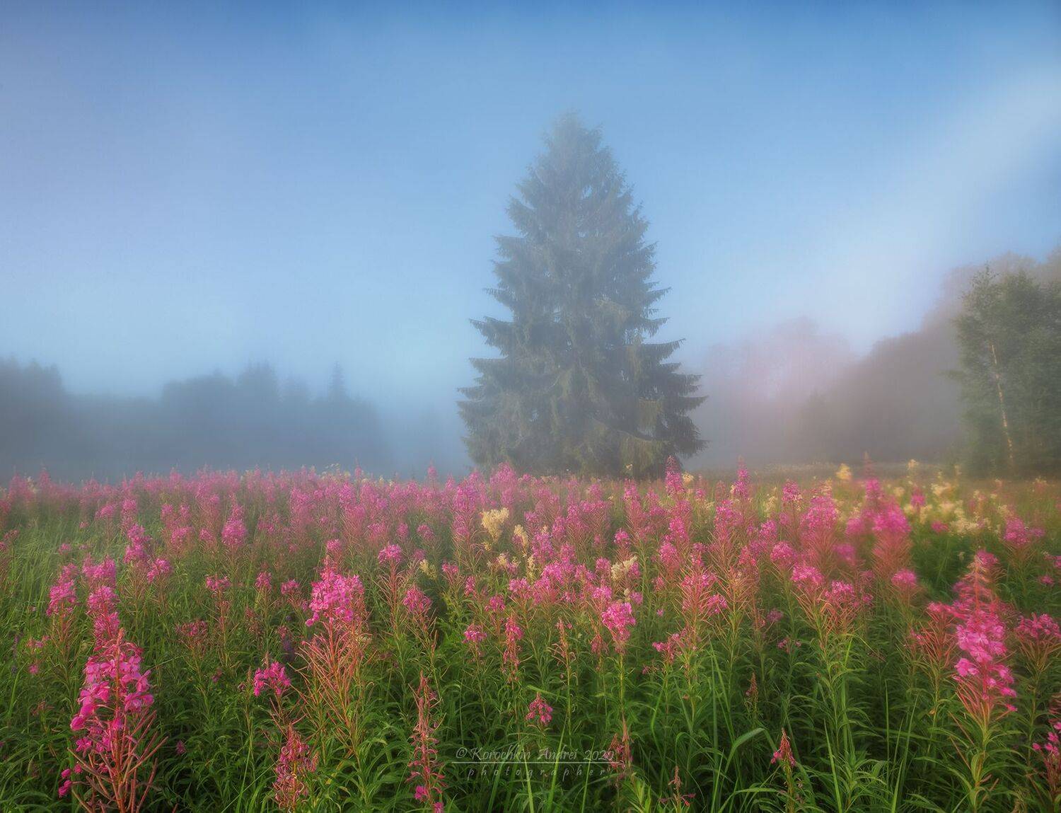 , Андрей Корочкин