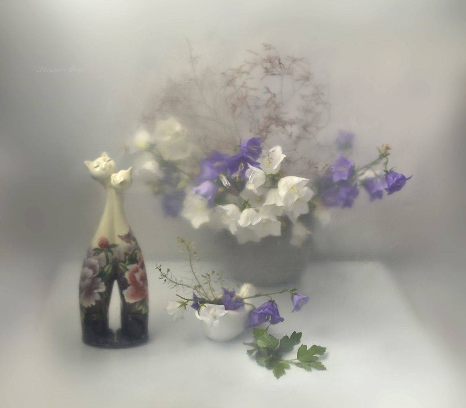 , Шипунова Ирина