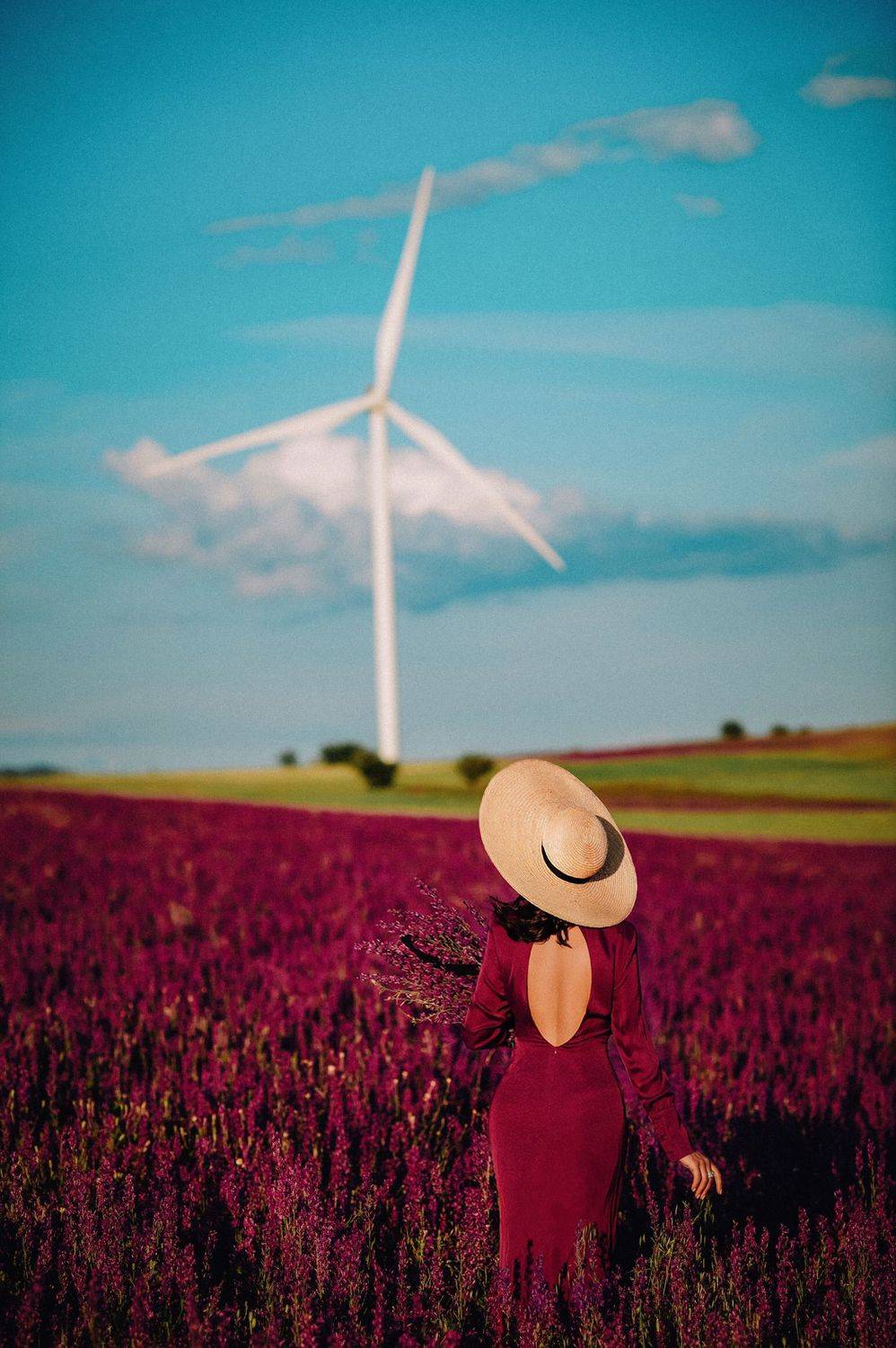 , solomnishvili giorgi