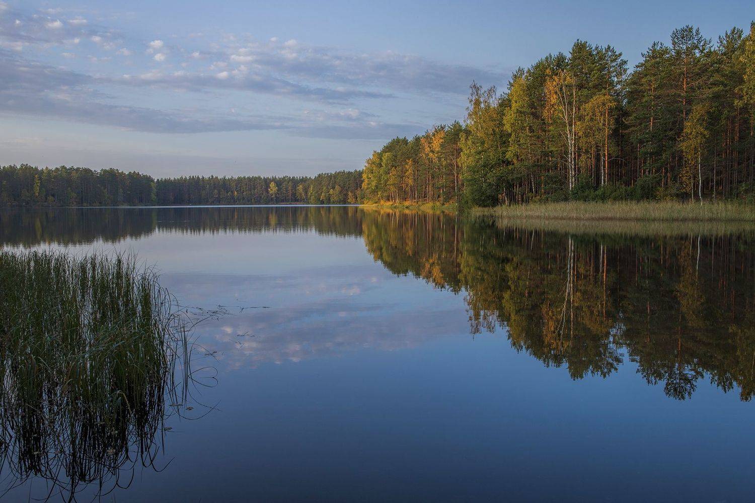 ленинградская обл.,зеркальное озеро, alexOmRam