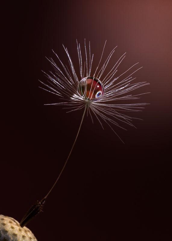 одувашки очаровашки Балеринка фото превью