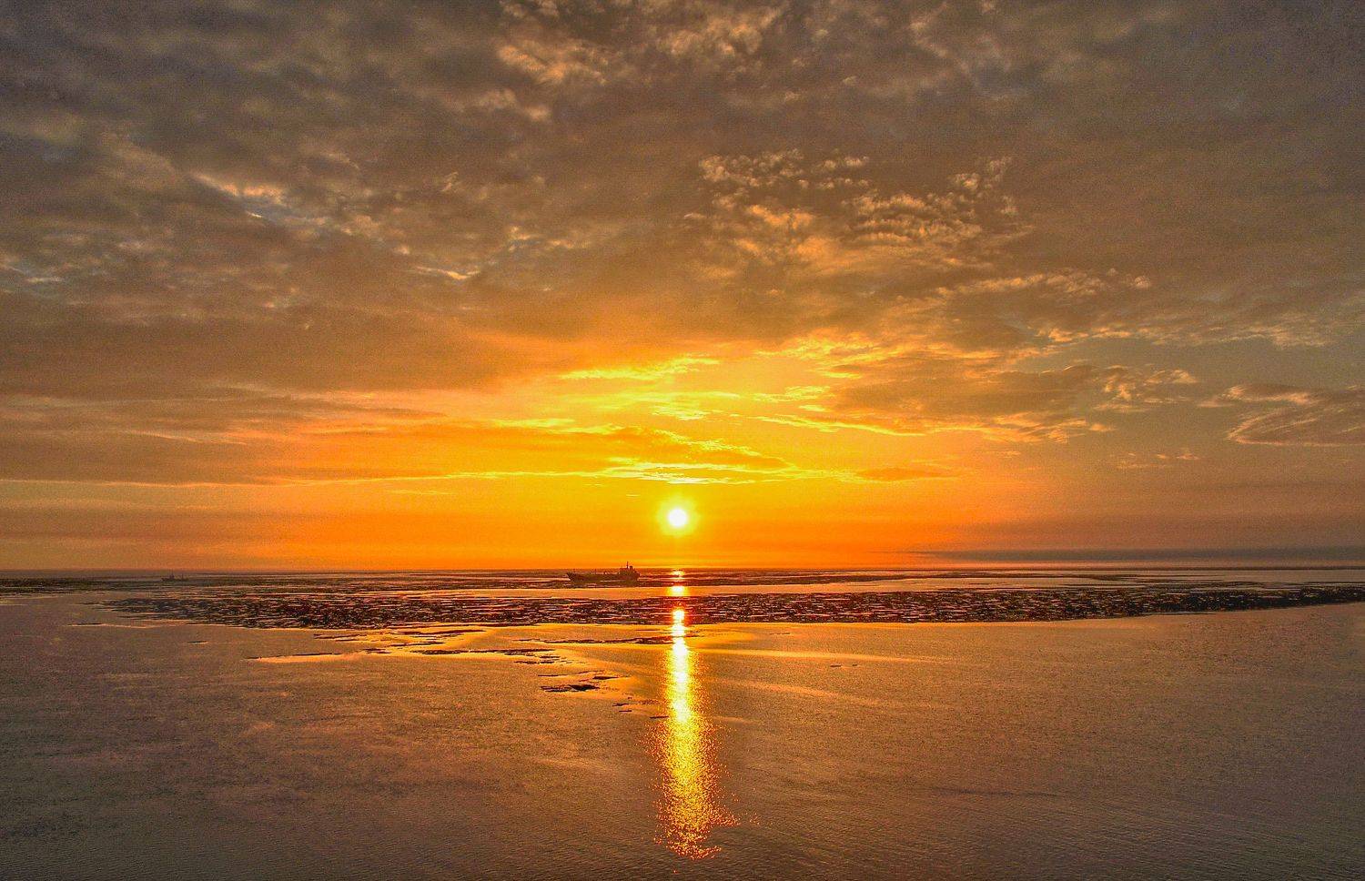 , Игорь Приданников