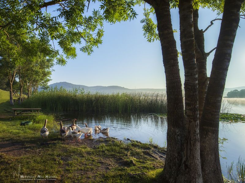 Poyrazlar Lake фото превью