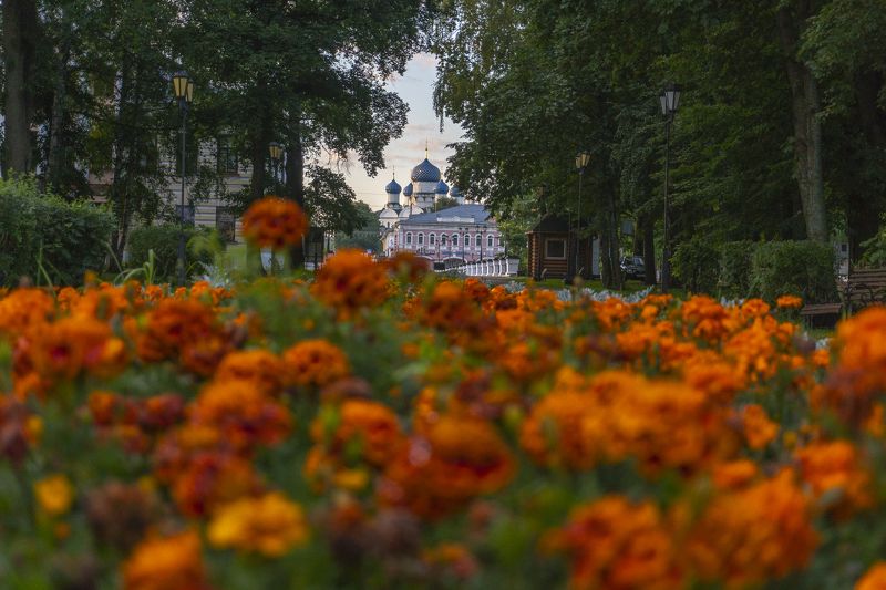 201 фото превью