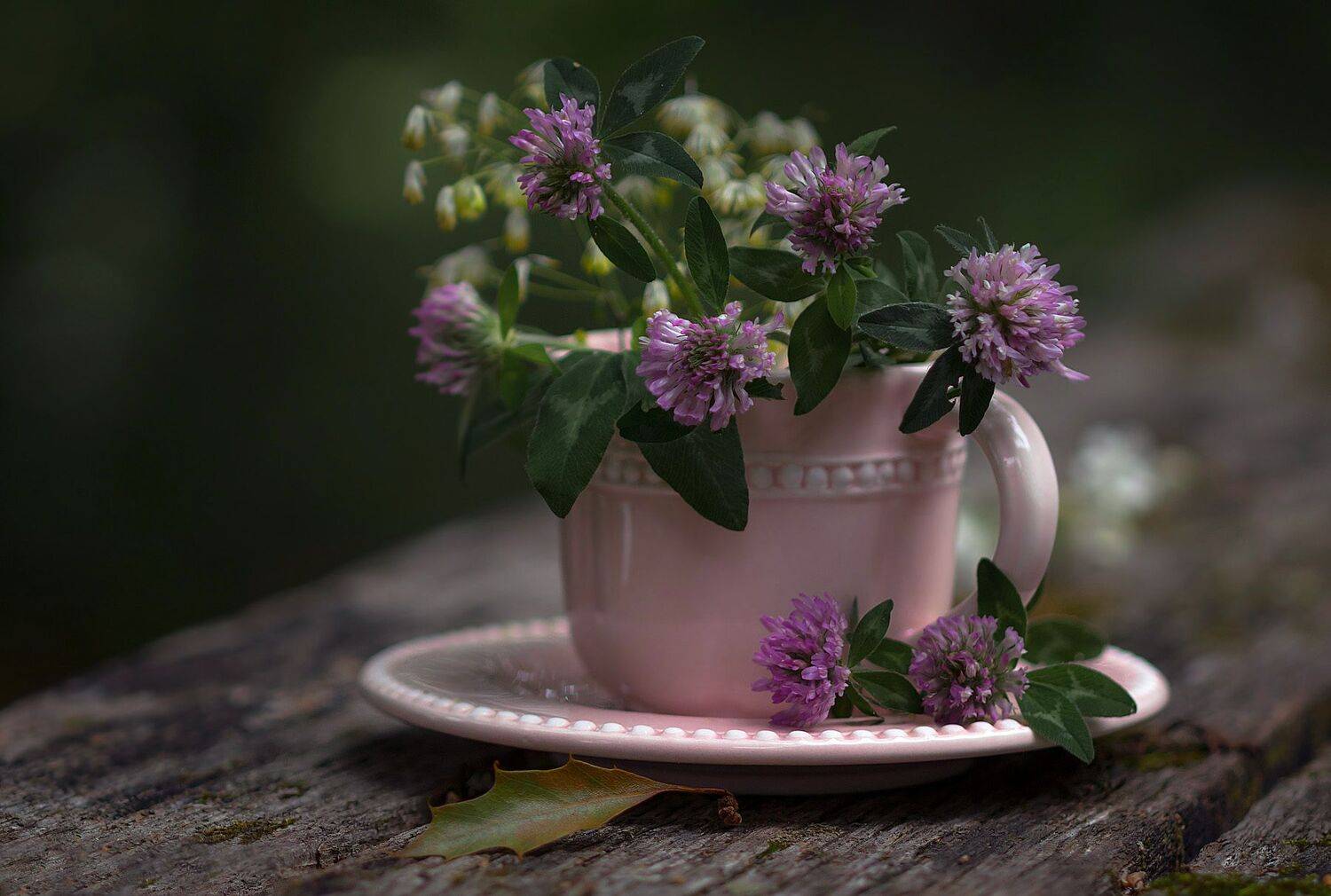 натюрморт,лето,цветы,этюд,клевер,полевые цветы,, Антонина Яновска