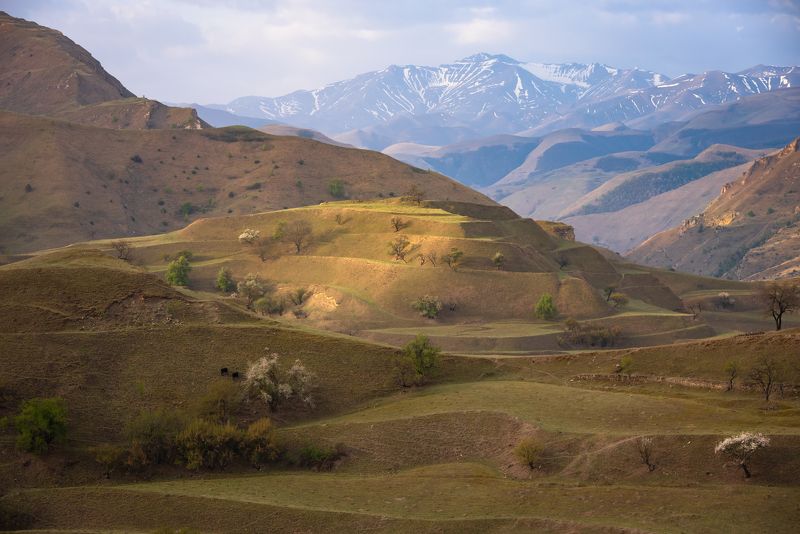 дагестан, кавказ, село чох, рассвет Дагестан, долина у села Чох фото превью