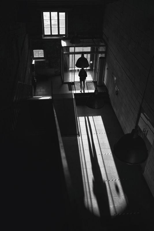 Время длинных теней фото превью