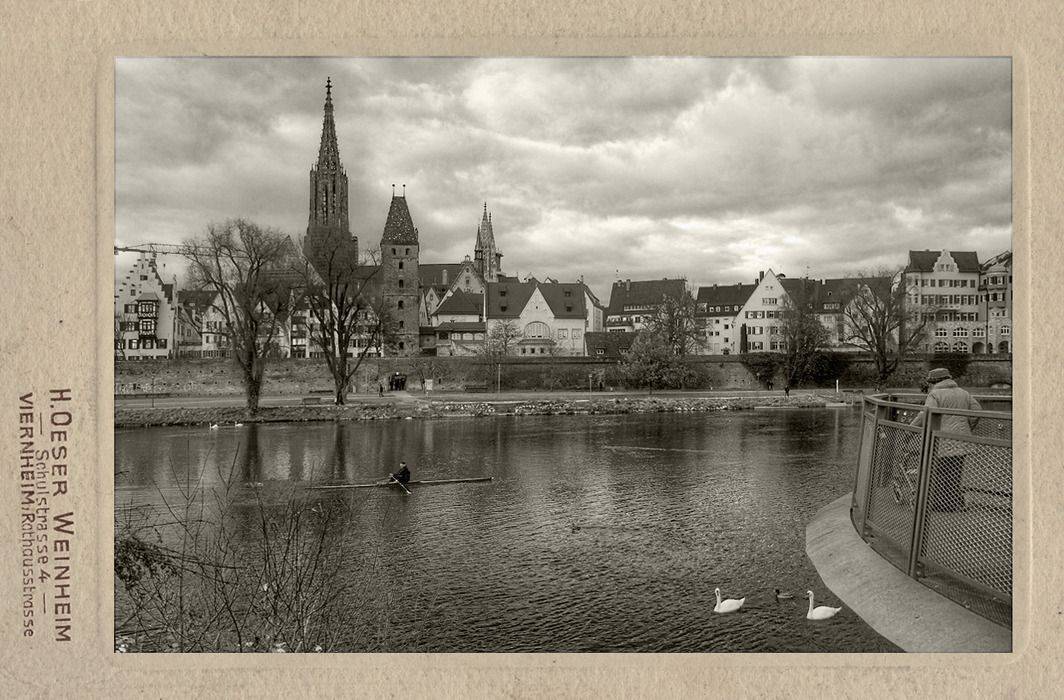 , Stein Georg