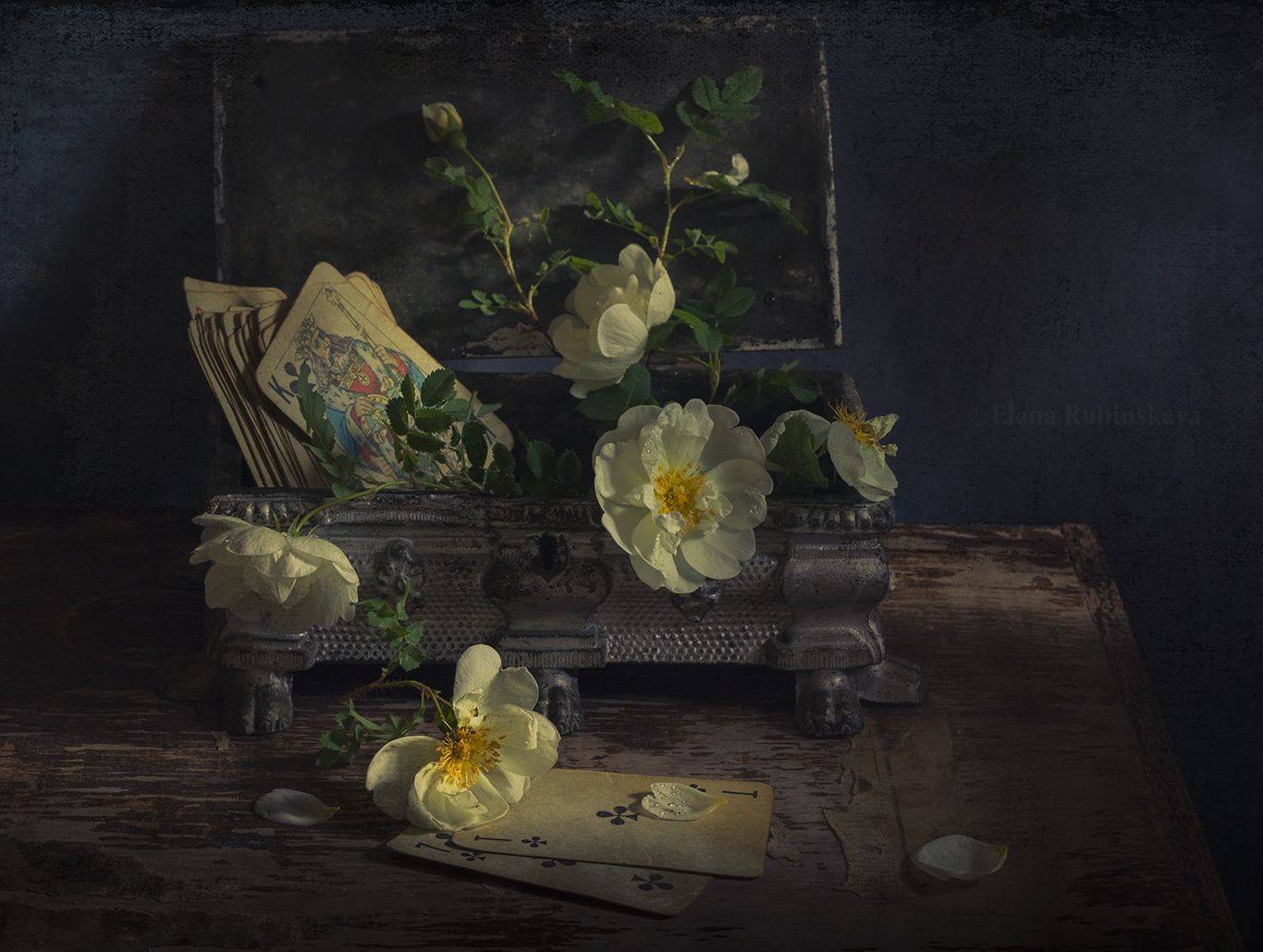 , Елена Рубинская