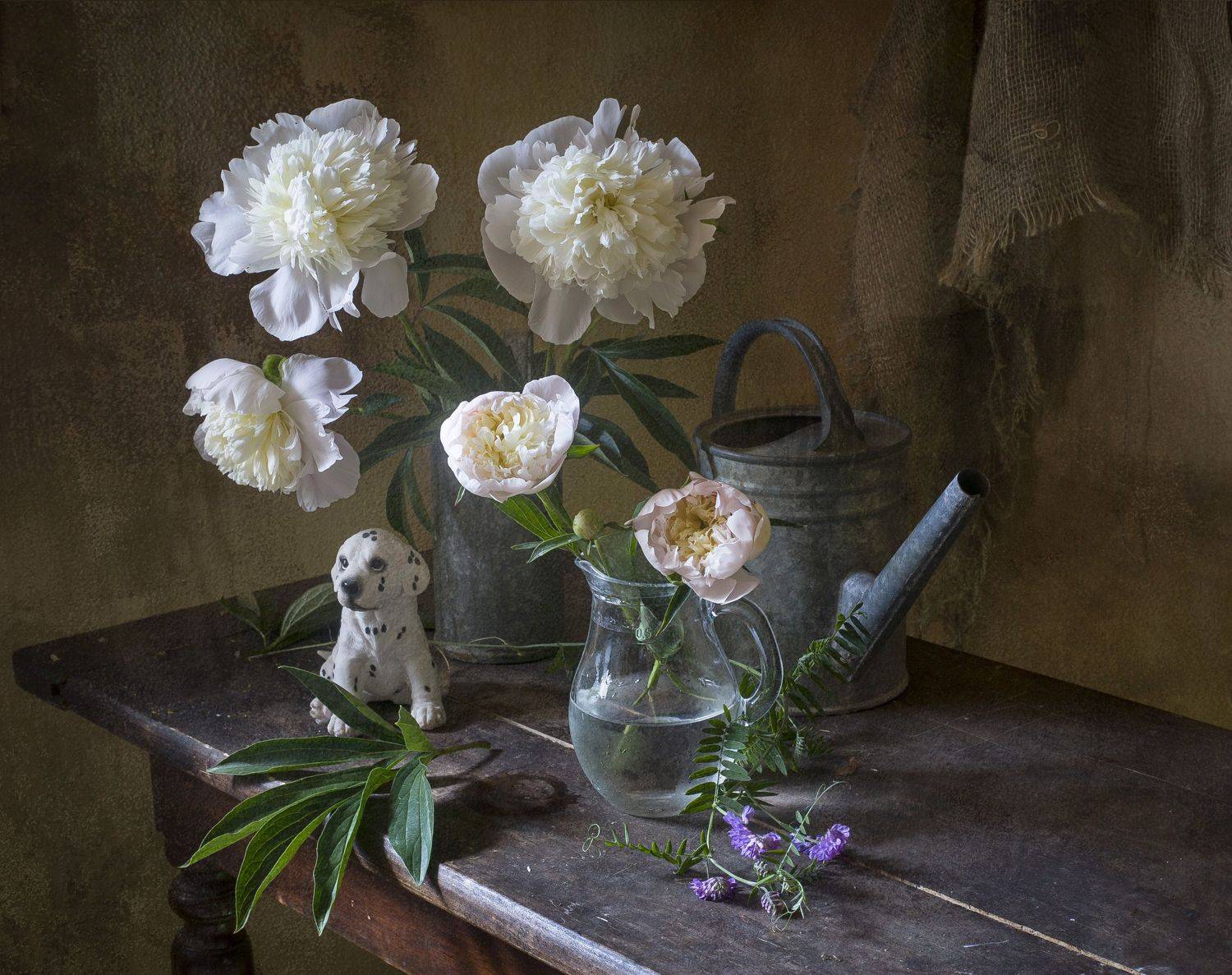 пионы белые, июнь, лейка, мешкковина, Оксана Евкодимова