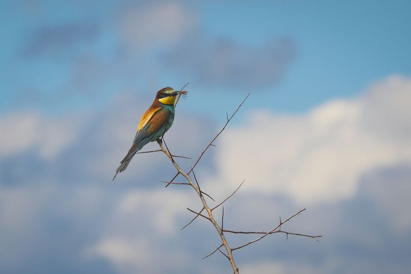2020 фото превью
