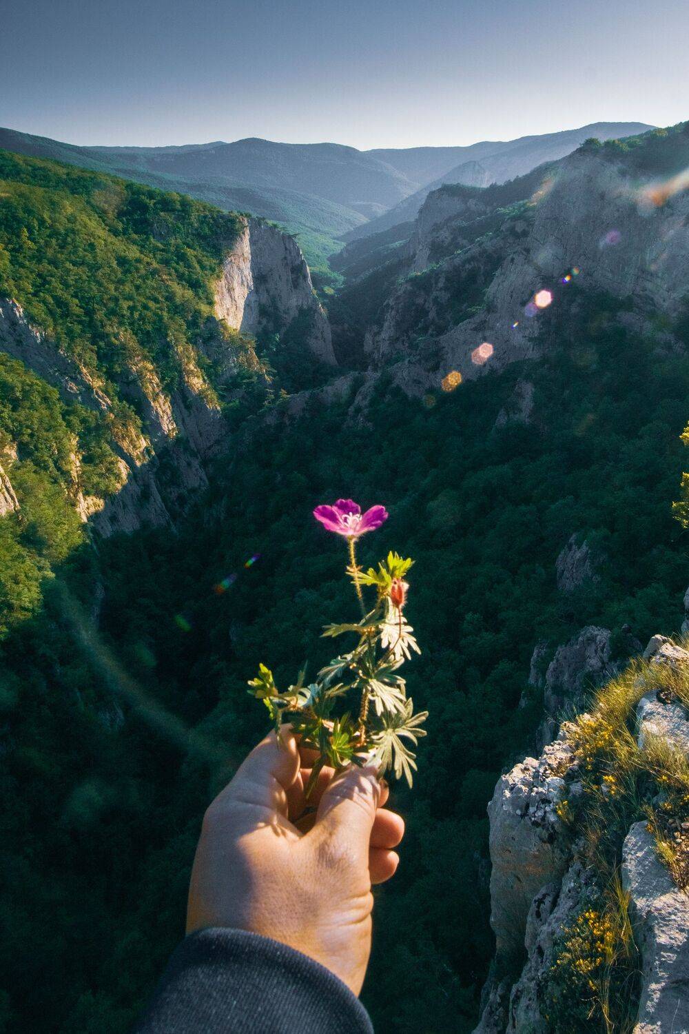 , Андрей Кривцов