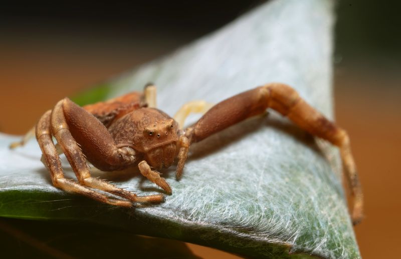 Вечерний отдых фото превью