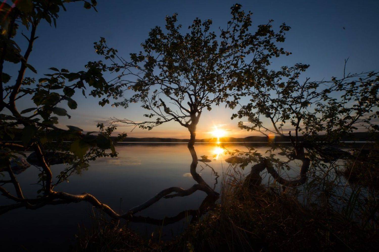 пейзаж, солнце, тень, полярная ночь, север, озеро, закат, Алёна Салтыкова