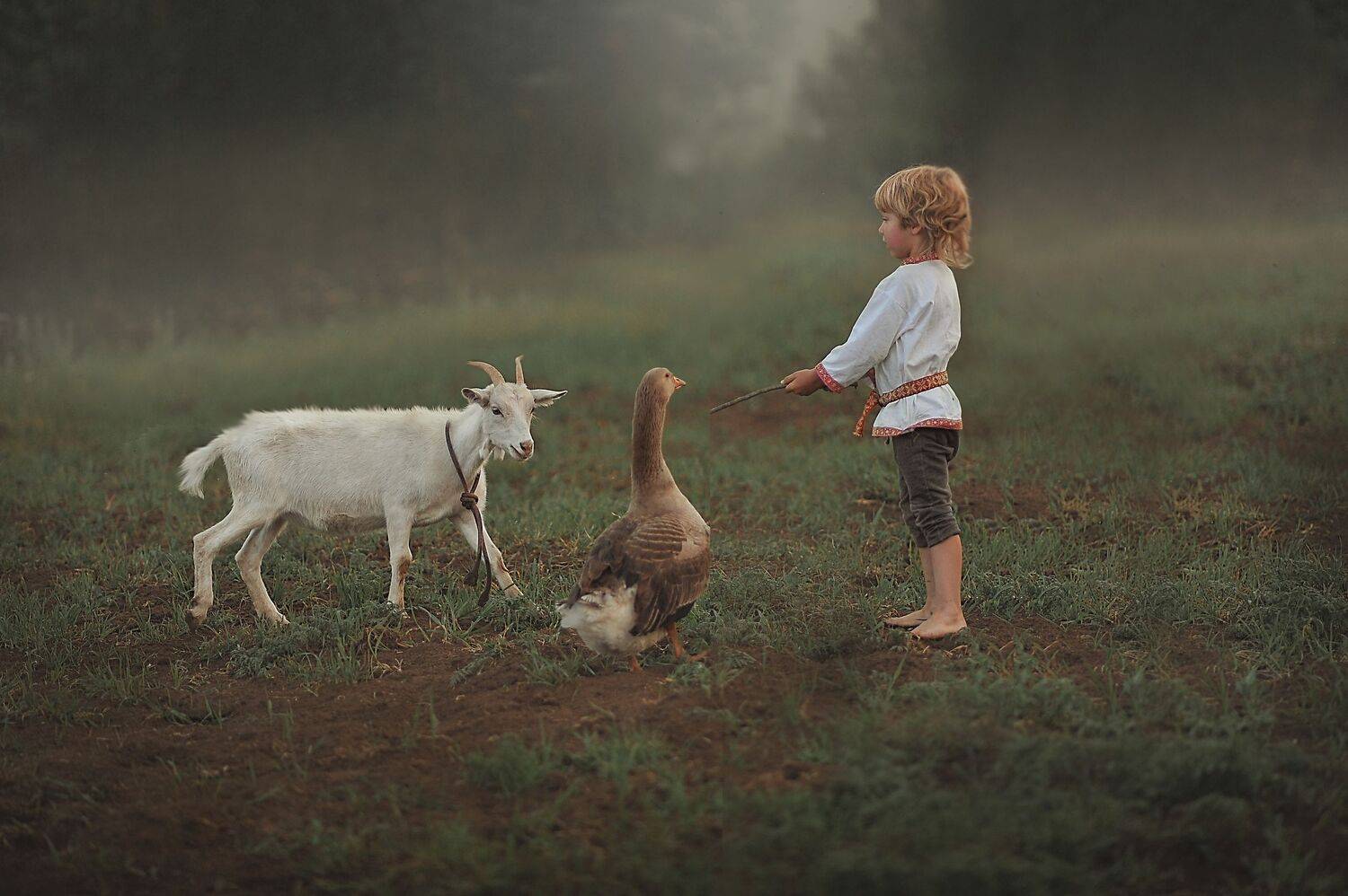 , Ксения Лысенкова