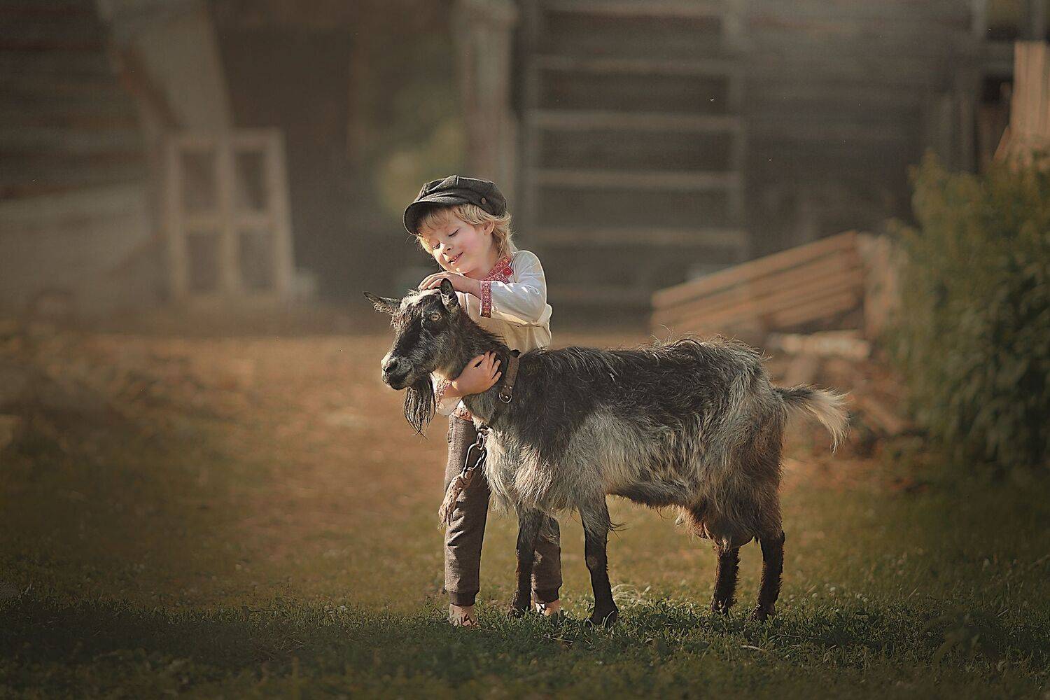 , Ксения Лысенкова