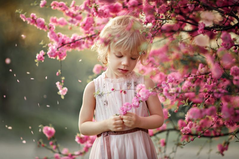 Pink dreams фото превью