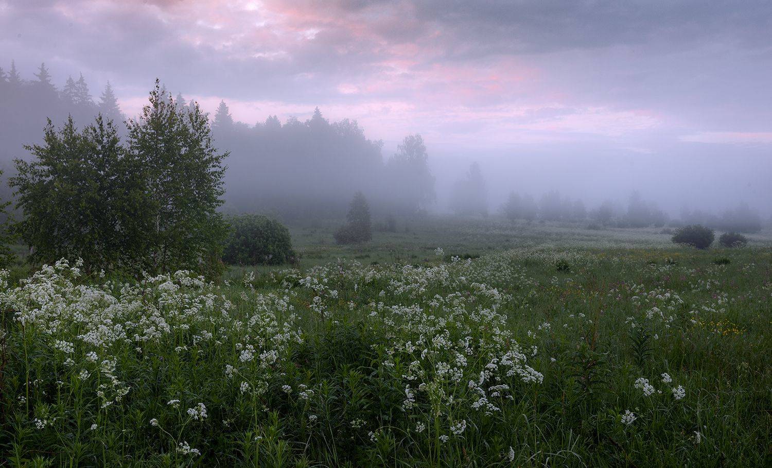 , Дмитрий Асеев