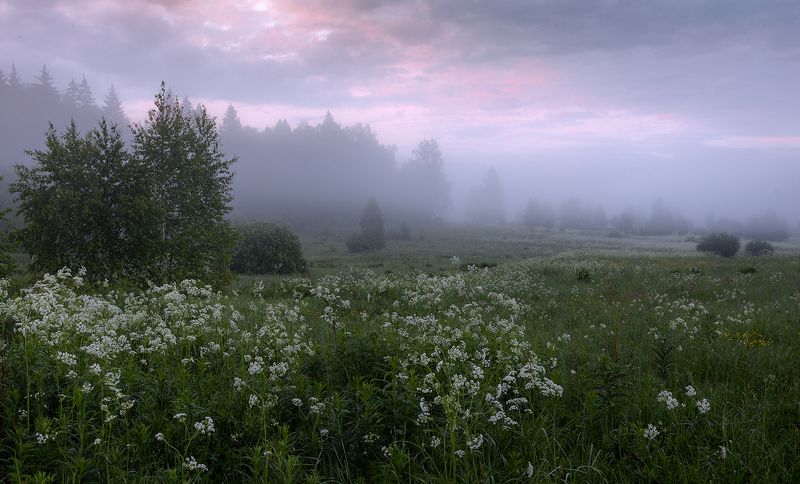 Сныть да сныть кругом...) фото превью