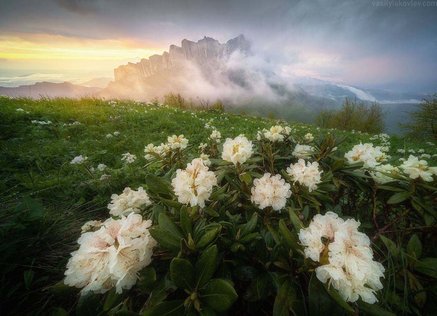 большой тхач, фототур, яковлевфототур, адыгея, кавказ, тхач, ачешбок, Василий Яковлев