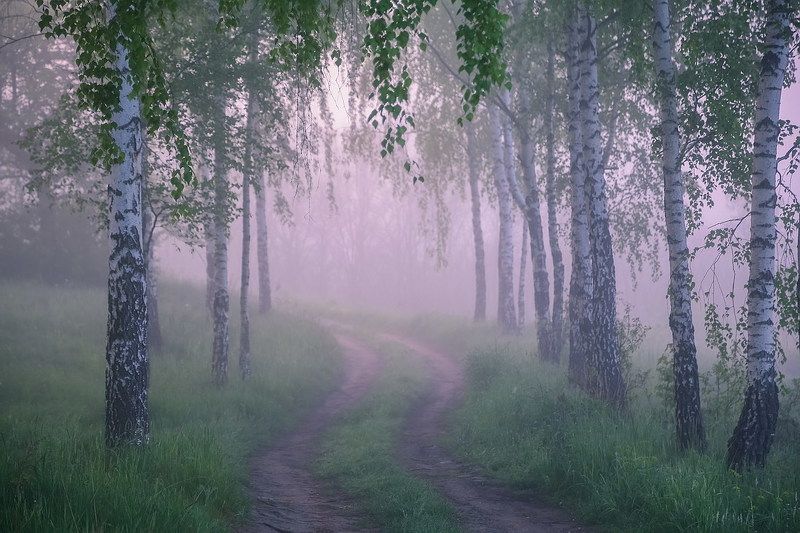 Утро.Тишина. фото превью