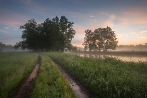 После дождя