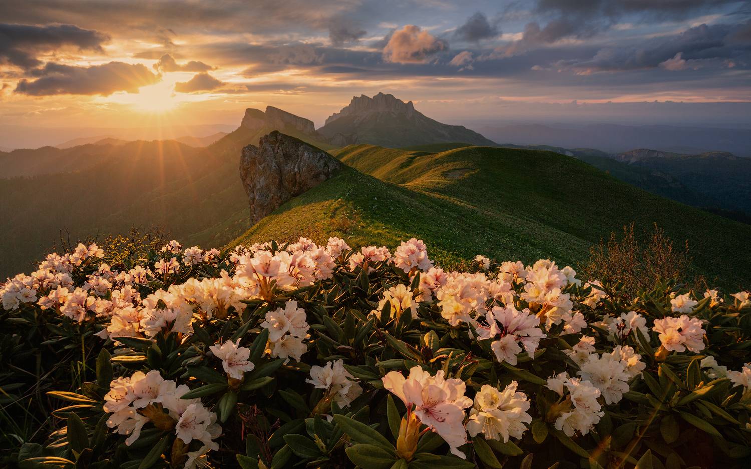 тхач, адыгея, асбестная, ачешбок, ачешбоки, большой тхач, кавказ, западный кавказ, рододендроны, малый тхач, Юрий (Phototours.pro) Шевченко