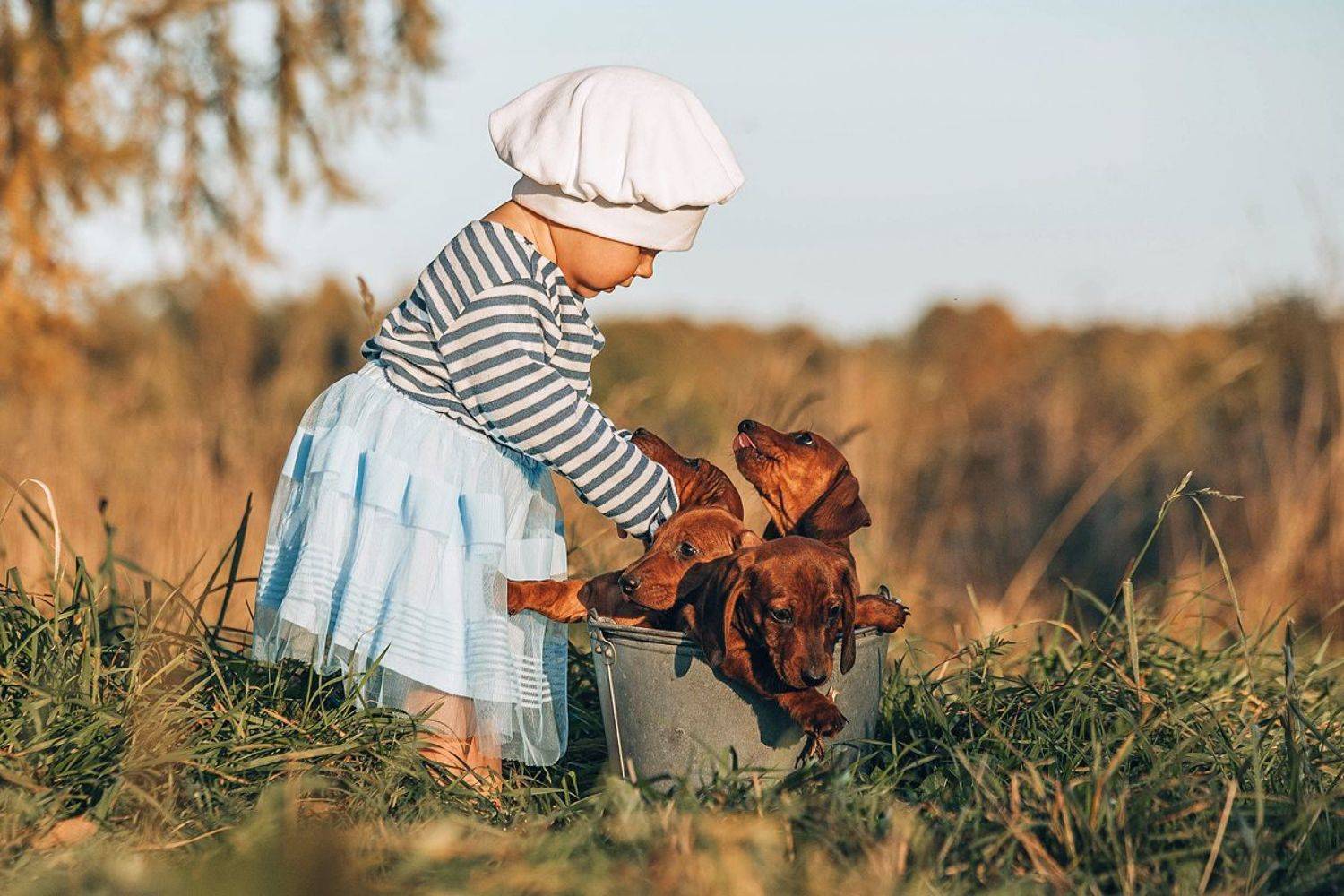 юный кинолог, Ольга Мурзина