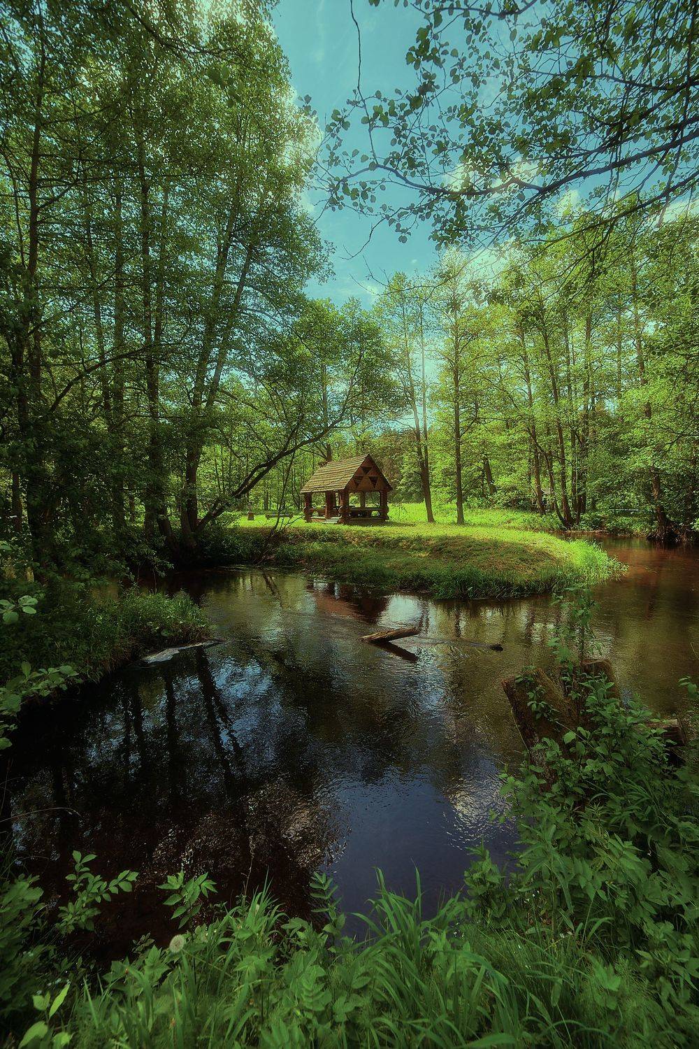 , Александр Фанковин