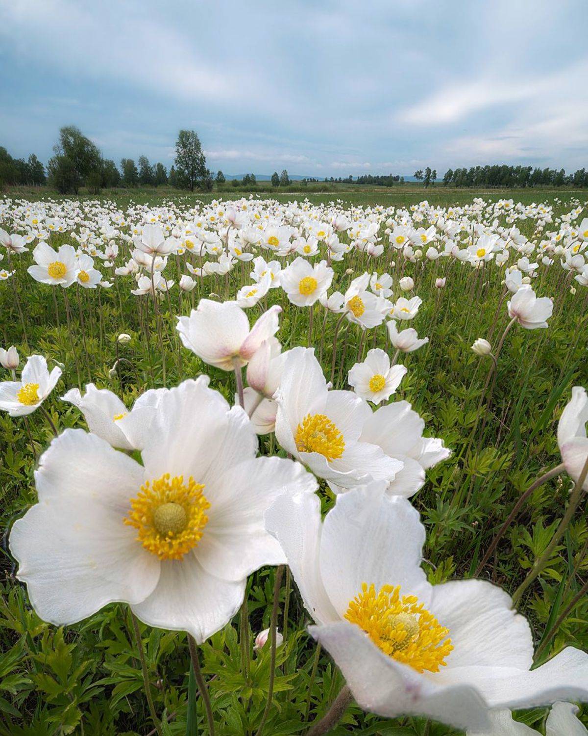 , Сергей Брагин