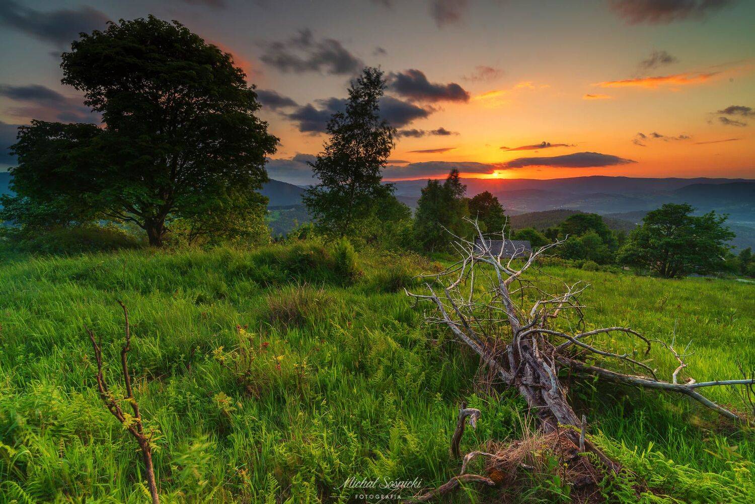 #poland #tree #sky #evening #sunrise #mountains #tower #pentax #benro #sunset, Michał Sośnicki