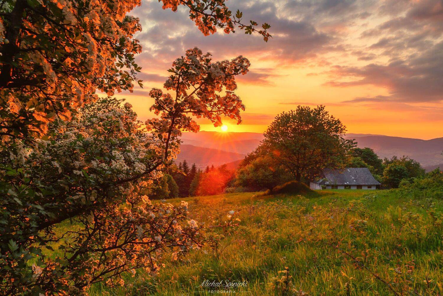 #poland #tree #sky #evening #sunrise #mountains #tower #pentax #benro #sunset, Michał Sośnicki