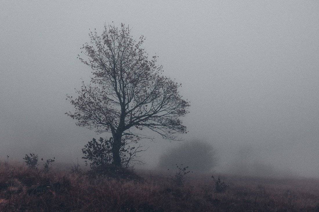 , Ярослав Тюрменко (Jaremi)