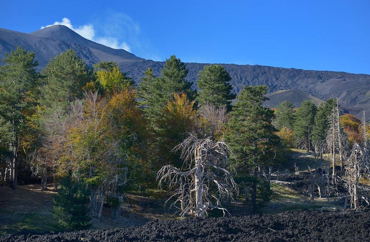 , Сергей Седов