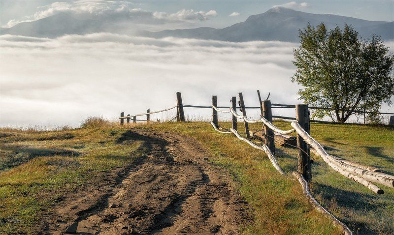 карпаты, природа, пейзаж, туман, черная тиса, горы, утро Шагнуть на небо... фото превью
