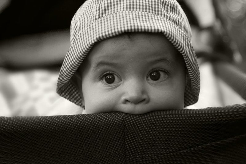 ДО ЧЕГО ПОРОЙ ОБИДНО.... фото превью