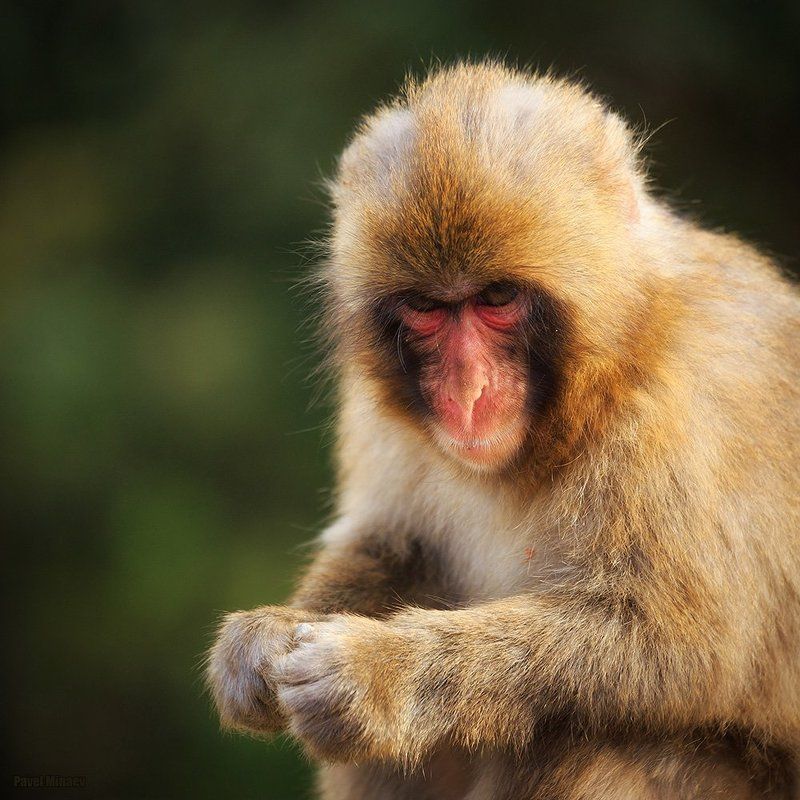 Семки есть? А если найду? фото превью