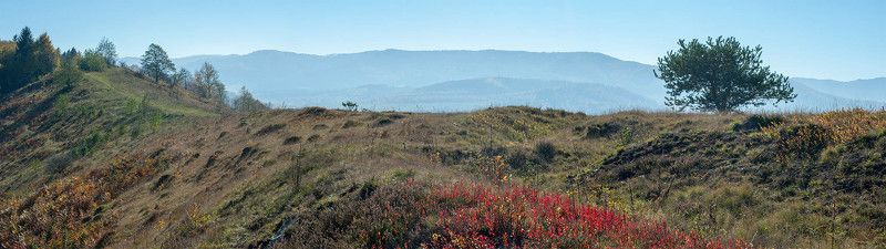 Палитра осени фото превью