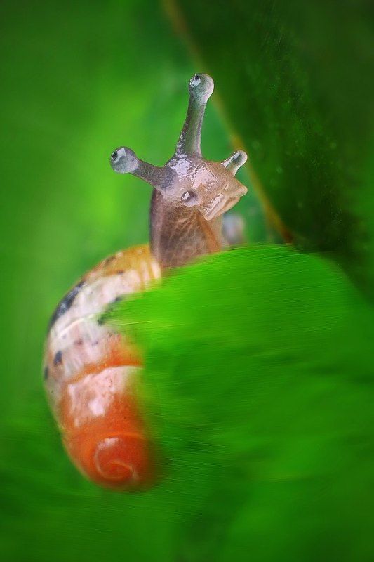 губастенькая фото превью