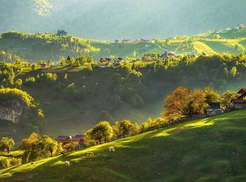 Life on the hills