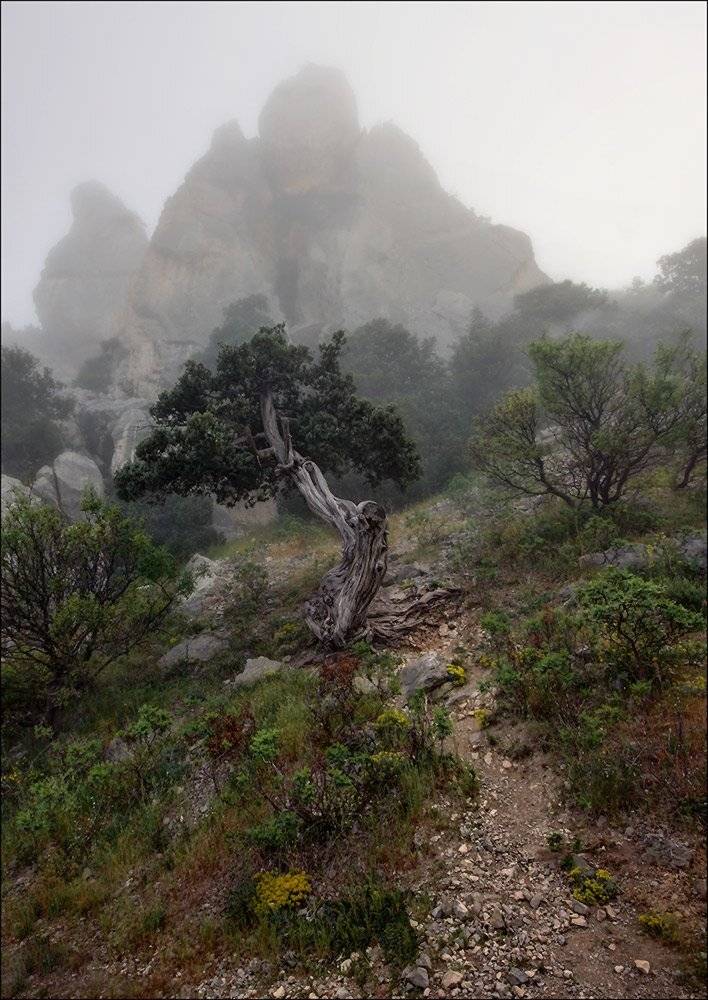 , Петриченко Валерий