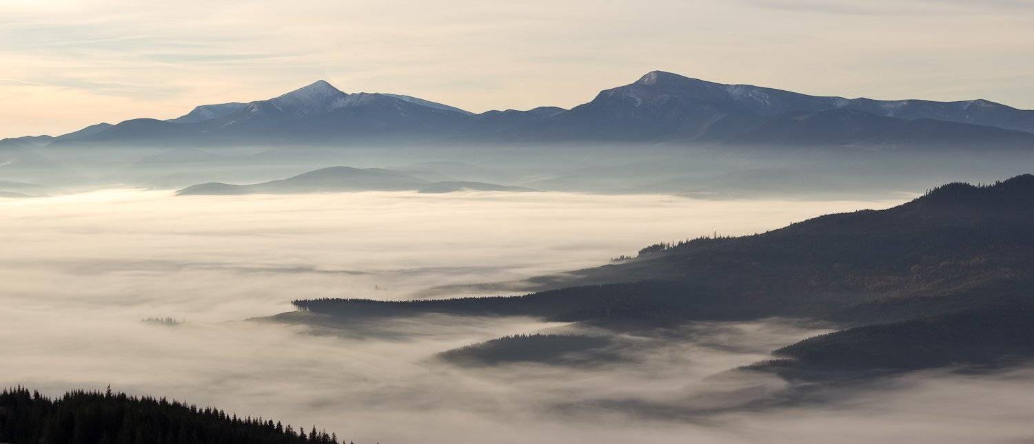 , Александр Подрез